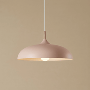 Zaevia Aero Dome: Japandi Wood Accent Pendant Light - Pendant Light | Zaevia