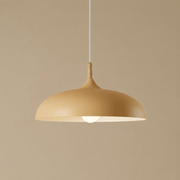Zaevia Aero Dome: Japandi Wood Accent Pendant Light - Pendant Light | Zaevia