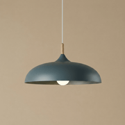 Zaevia Aero Dome: Japandi Wood Accent Pendant Light - Pendant Light | Zaevia