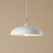 Zaevia Aero Dome: Japandi Wood Accent Pendant Light - Pendant Light | Zaevia