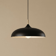 Zaevia Aero Dome: Japandi Wood Accent Pendant Light - Pendant Light | Zaevia