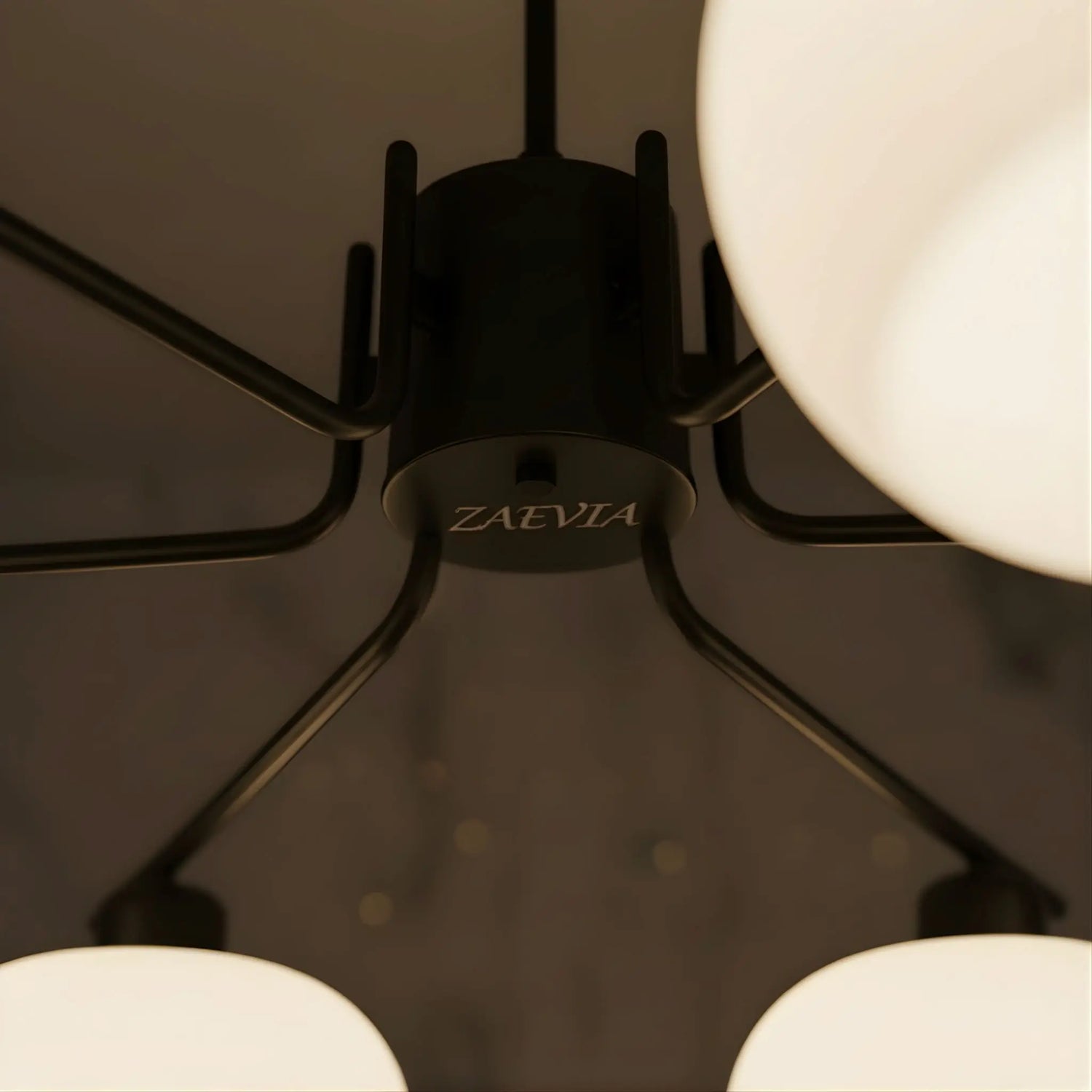 Modern Silhouette and Architectural Detail