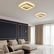 Quadra Geometric Minimalist Ceiling Light - Ceiling Light | Zaevia