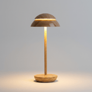 Zaevia Silas Rechargeable LED Table Lamp: Touch Control Minimalist Light - Lighting > Table & Floor Lamps > Table Lamps > Designer Table Lamps | Zaevia