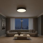 Strata Stone-Effect Flush Mount Ceiling Light - Lighting > Ceiling Lights > Flush Mount Lights > LED Flush Mounts | Zaevia